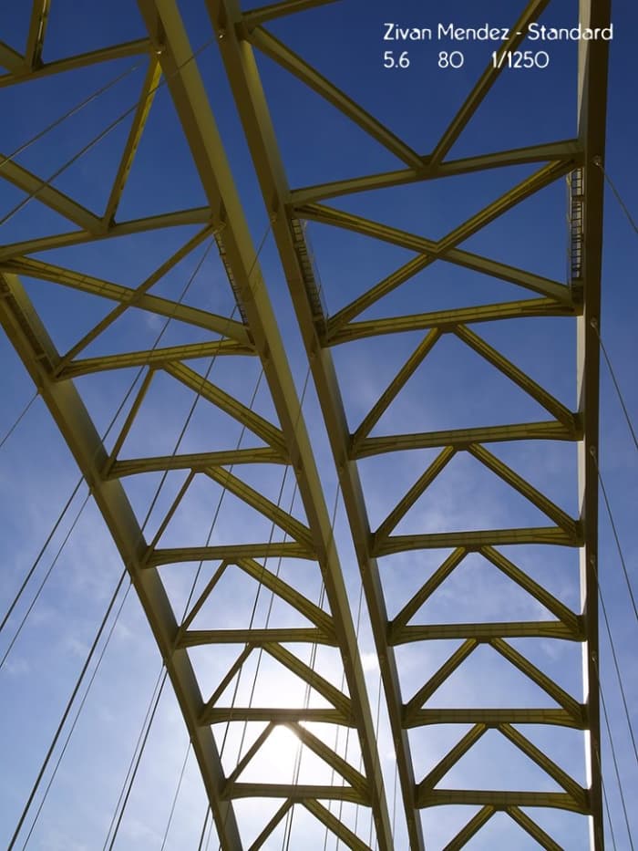 Can you guess what this is? Bridges have interesting configurations.