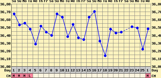 The above chart is an example of an anovulatory cycle where there is no marked temperature shift in the middle of the cycle. Ovulation has not occurred.