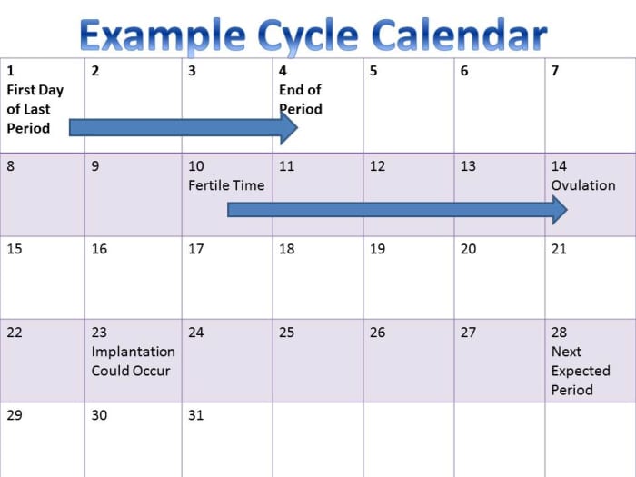 Example of a 28 day menstrual cycle.