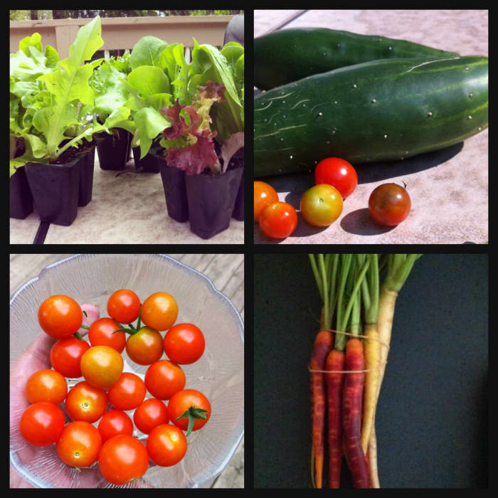 Growing your own vegetables can be a great way to get your child to eat more veggies.