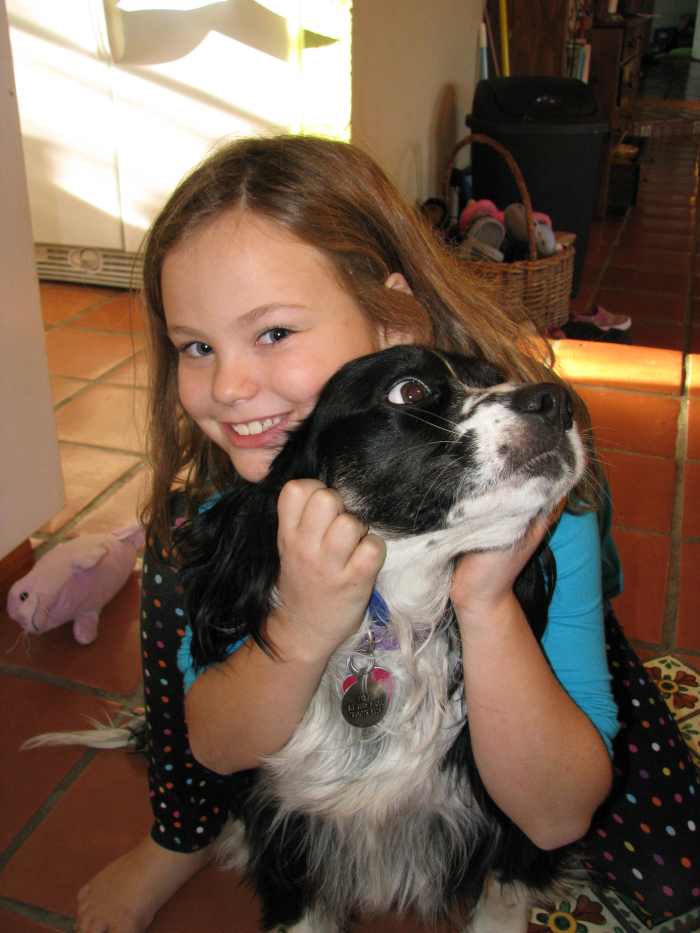 Easy Animal Science Fair Project for Elementary Kids - HubPages