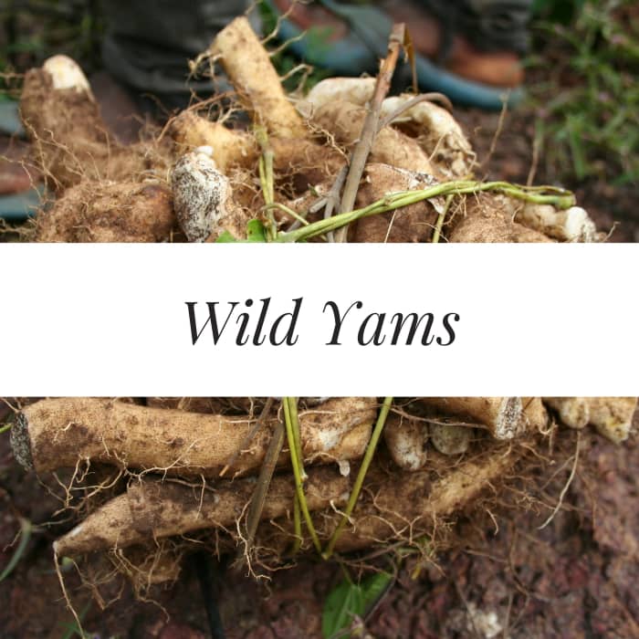 How to Increase Your Chances of Conceiving Twins WeHaveKids