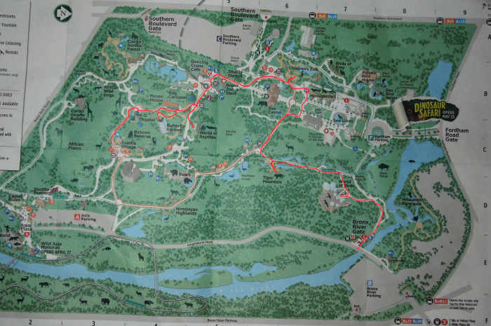 How to Make Zoo Trips Educational for Children - WeHaveKids