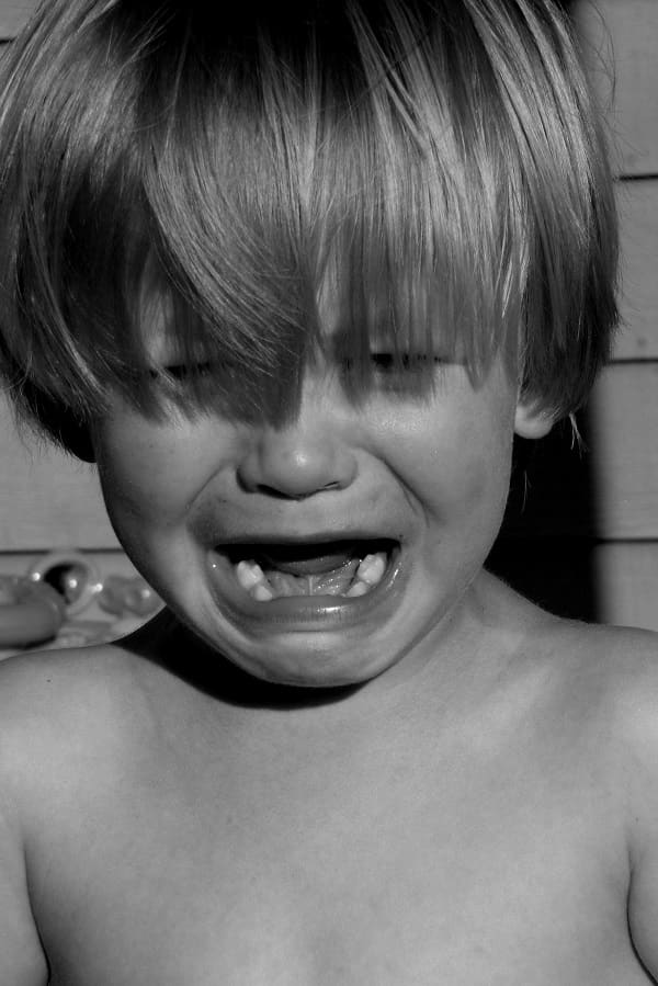 The challenges of parenting include balancing the provision of the child's needs and management of temperaments.