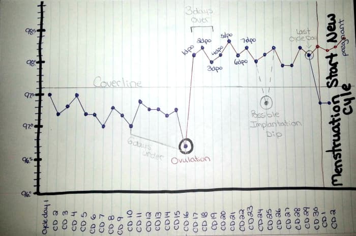 Temperature did not drop for 18 days past ovulation and menstruation did not show up. This is likely a pregnant cycle.