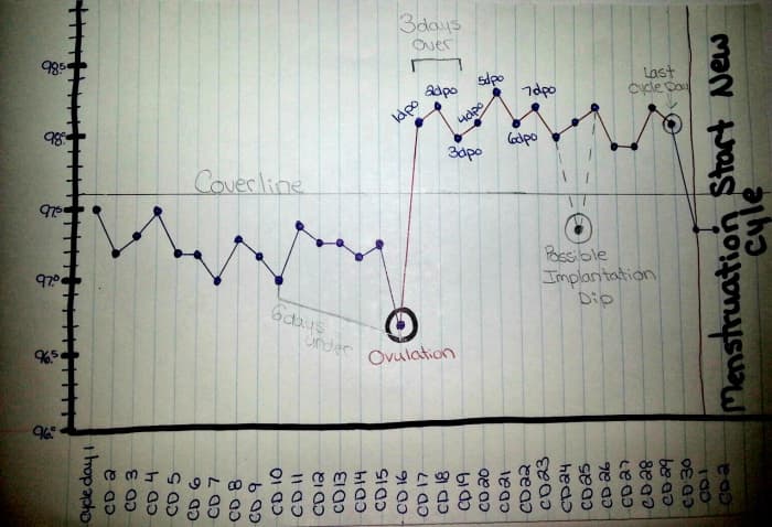 This photo shows how to determine when ovulation occurred using the 6 days under the cover line and the 3 days over the cover line rule.