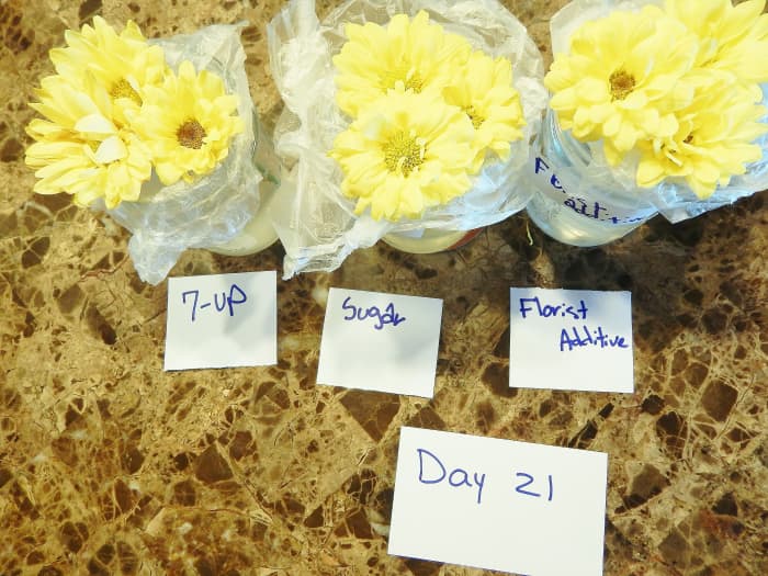 Tip #4: Make sure all of your specimens are from the same batch and supplier.
