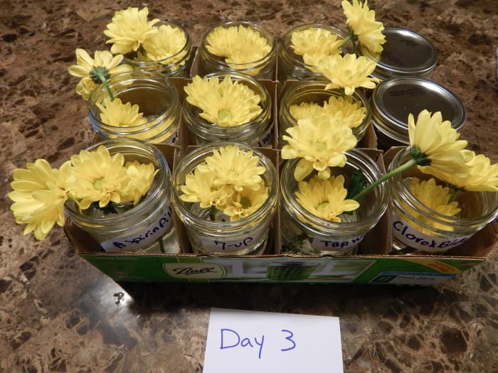 Tip #1: Use pint jars and the box they came in to easily keep move and keep track of your experiment.