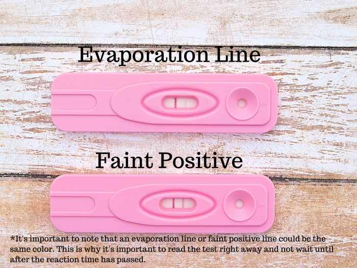 How to Interpret the Results of an Evap Line on a Pregnancy Test