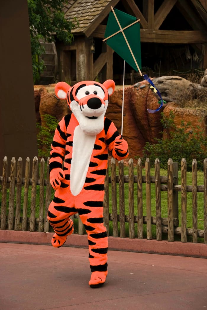 Disney offers a free travel DVD that the kids are sure to love and will help them understand and get excited about their trip.