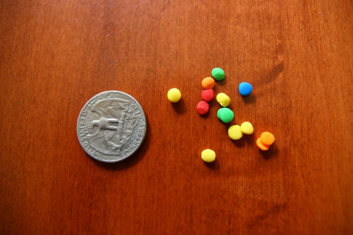 The baby is approximately 1/4" in length, or about the size of the confetti sprinkles seen in this picture. A quarter is used for size reference.