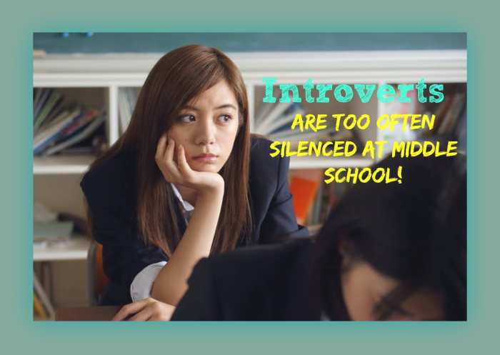 If you're an introvert, middle school can be a sad, lonely, and confusing time in your life.