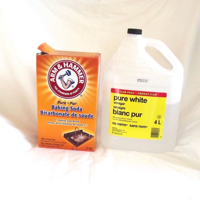 How to Properly Clean a Teapot Delishably