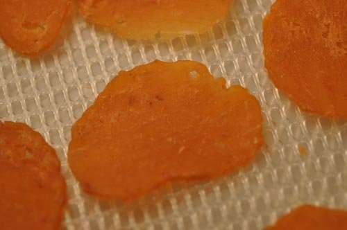 Prawn cracker slices after 18 hours drying time.