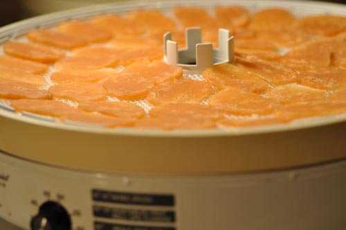 Prawn cracker slices spread out to dry in food dehydrator. 