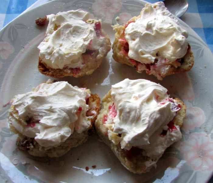 Learn how to make the best scones recipe