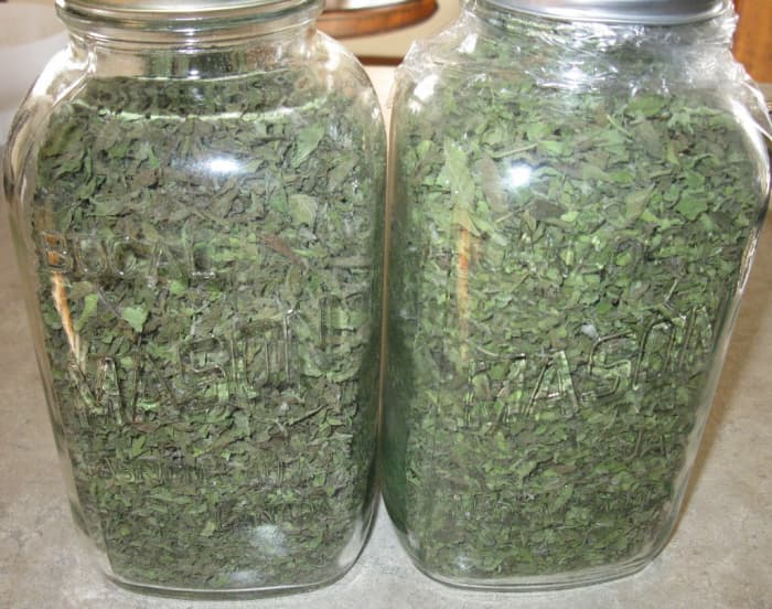 Yield was actually four 1.5L jars of dried oregano. See how green the leaves are.