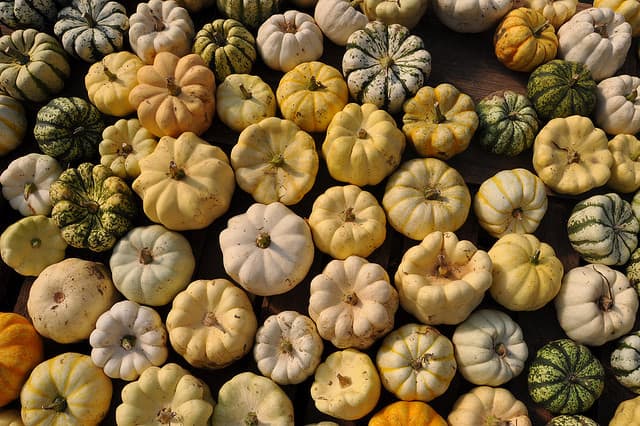 Buttercup squash is just one of many varieties of winter squash that can be used as an ingredient in a number of creative recipes.