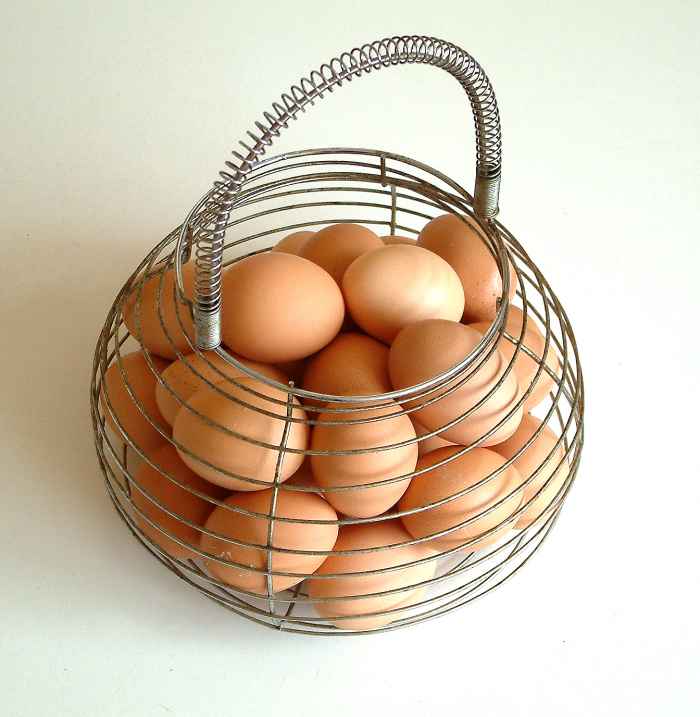 Eggs are nutritious and useful but are allergenic for some people.