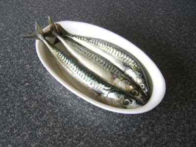Fresh Atlantic Mackerel