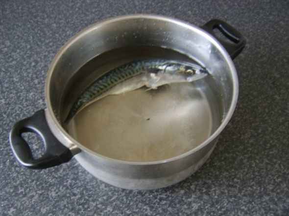 Mackerel ready to be poached