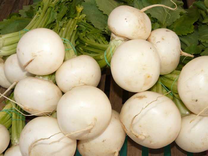 Similarities and Differences Between Root Vegetables Jicama and Turnip