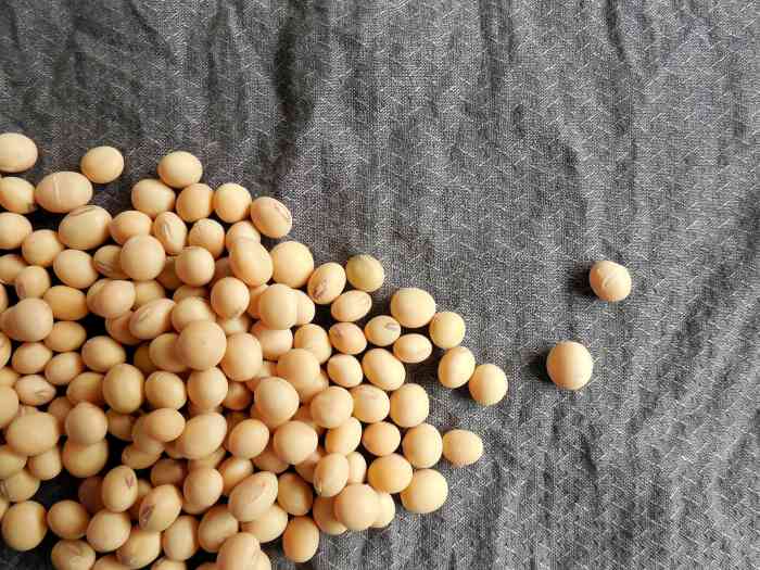 Soybeans removed from their pods