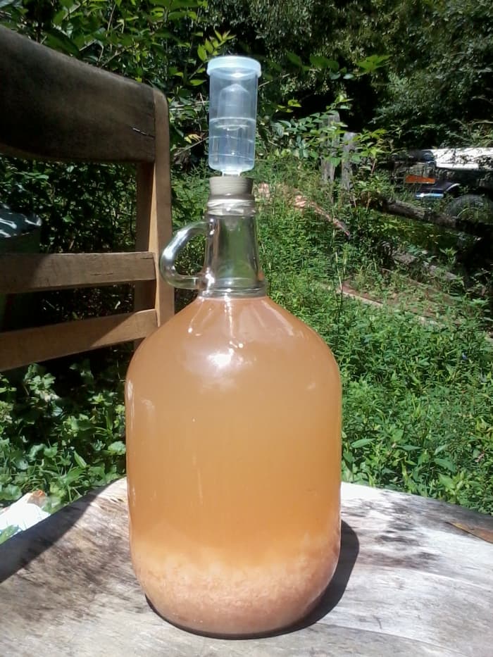Peach wine in secondary fermentation. Moved it outside, temporarily, so I could get you a good picture!