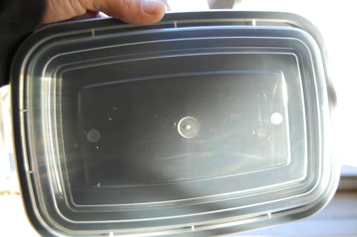 Through three cycles of use, the lids on these containers remain as clear and scent free as they were the day they arrived.
