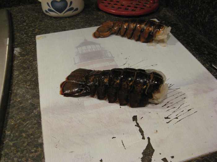 Split the tail down the center, almost to the fin section.