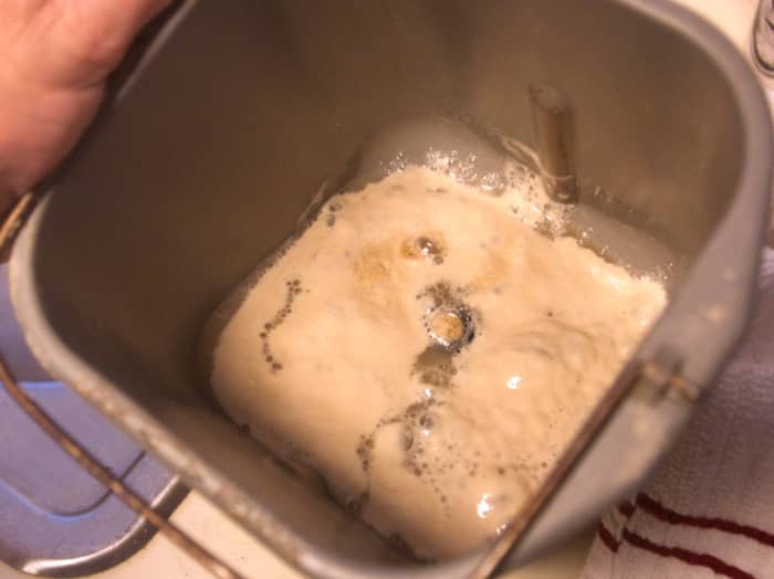 The softened yeast in warm water is ready for the rest of the ingredients and the bread machine.