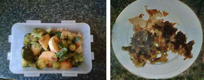 how-to-reduce-food-waste