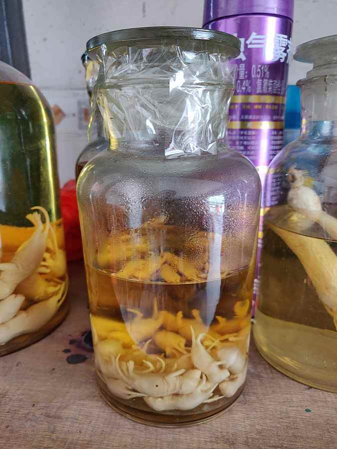 the-dawson-city-sourtoe-cocktail