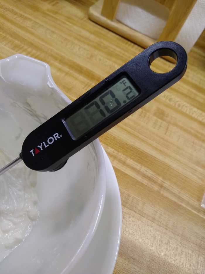 StepbyStep Homemade Yogurt in a Thermos Delishably