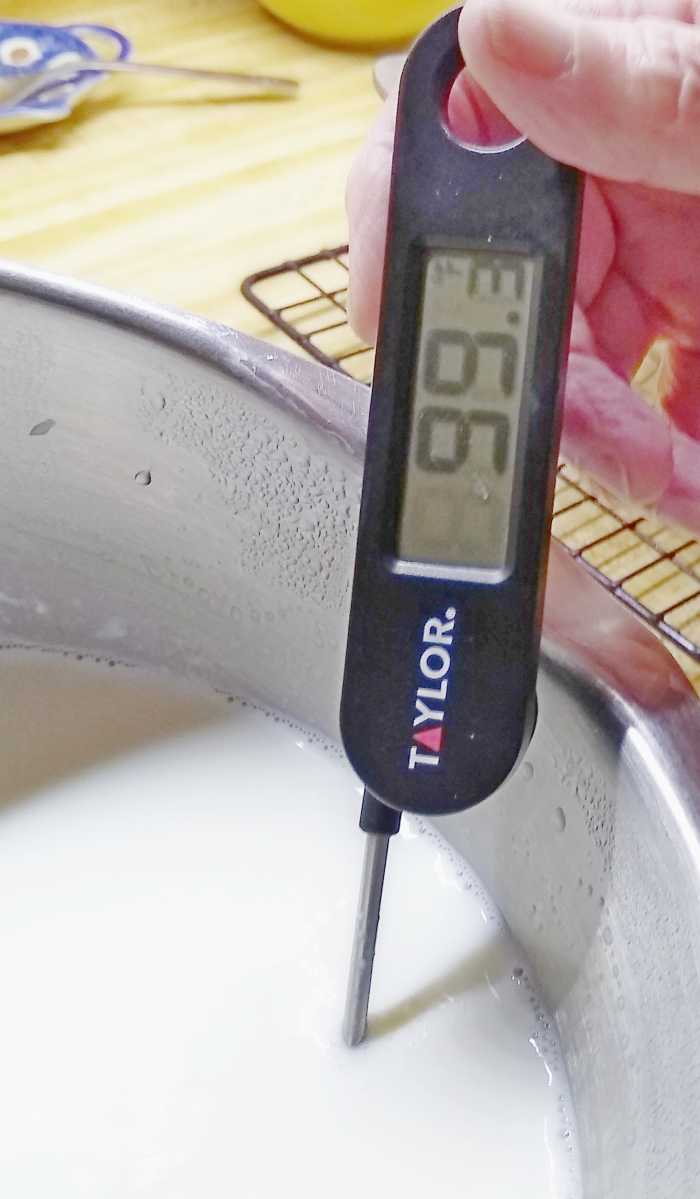 StepbyStep Homemade Yogurt in a Thermos Delishably