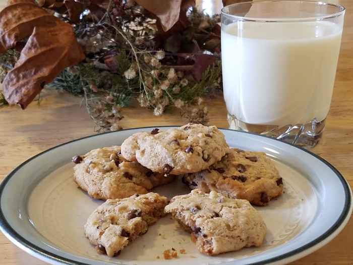 Here is a plate of gluten-free maple walnut chocolate chip cookies served warm with a glass of milk.