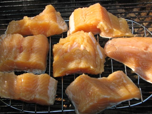 Lay the pieces of fish out on a rack to dry for some time while you are getting the smoker ready to go.