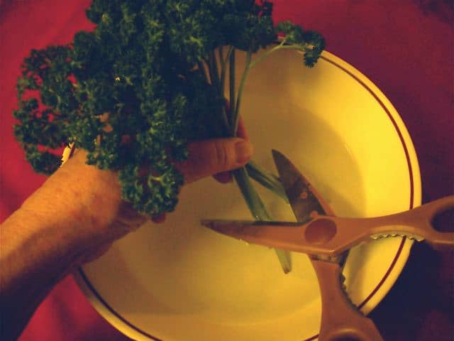 Keep the ends under water when you trim, so air bubbles won't form in the stems and keep water from being absorbed.