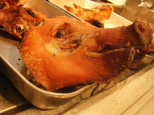 Roasted whole pork head