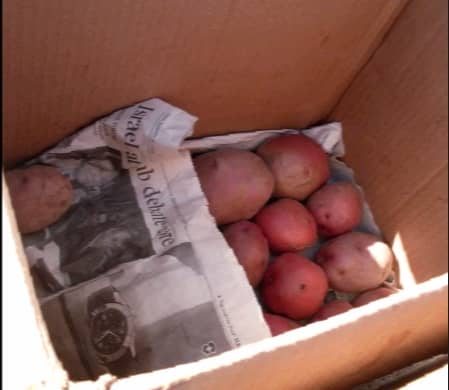 Organize potatoes according to size or type, if you wish. We had three varieties and three size divisions. Add paper between layers.