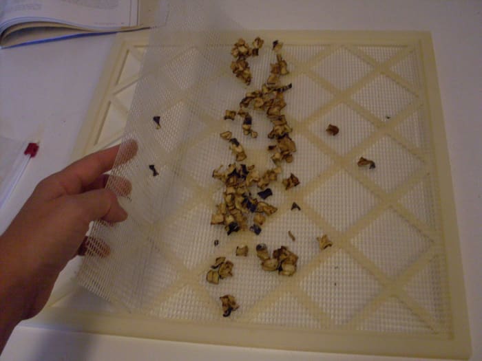 After most of the pieces are dry, pick out any that aren't, to dry some more. Tip remaining pieces to the center of the screen...