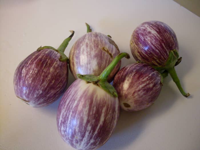 Select firm, fresh eggplants, as they will preserve better than ones that are already wrinkled or deteriorating.