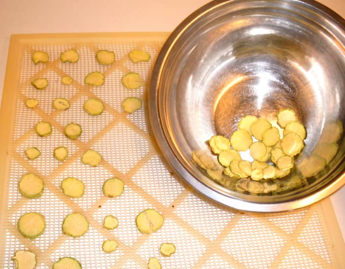 Dry squash chips until brittle, like potato chips, at 130*-140* F. Squash is famous for reclaiming water from the air, so store as soon as cool in an airtight jar (glass is best), then in a dry, cool place.