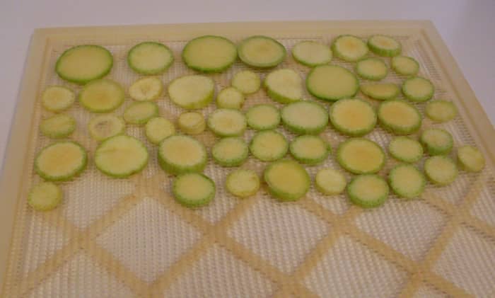 Arrange closely together on drying trays or screens. I am using a commercial food dehydrator, but it is possible to sun-dry squash chips in intense sunlight with low humidity, or in a very low oven.