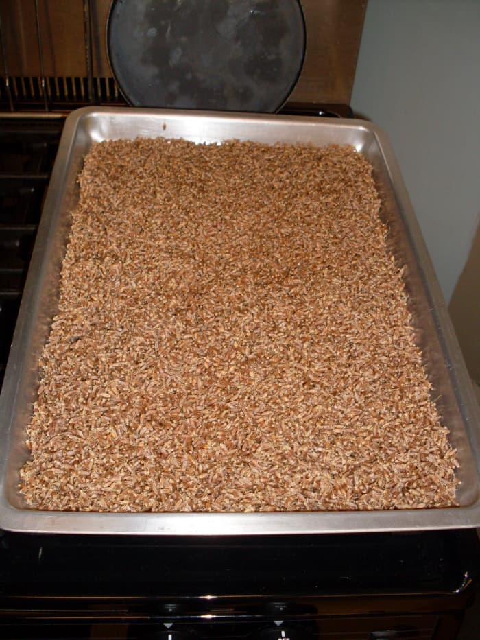 Spread the sprouted wheat out on a baking pan and set it in a warm (not hot) place to dry thoroughly.