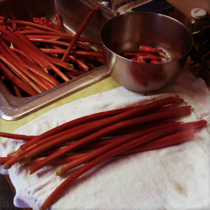 Place stalks in a sink and rinse each carefully. The root ends may feel slick. Snap off the root ends, and the leaves if you have not done so already. Discard or compost leaves.
