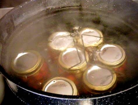 Wait for water to come back to a rolling boil before you start timing 15 minutes (at 5,000' elevation), for pints or half-pints. Quarts process for 20 minutes.