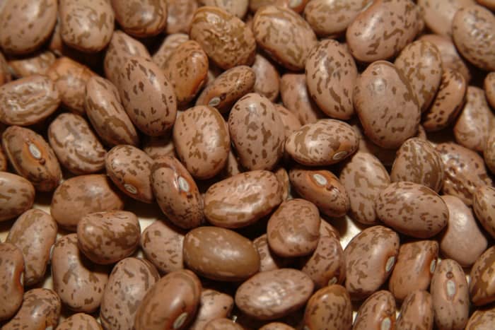 How to Buy, Store, and Cook Dried Beans - Delishably