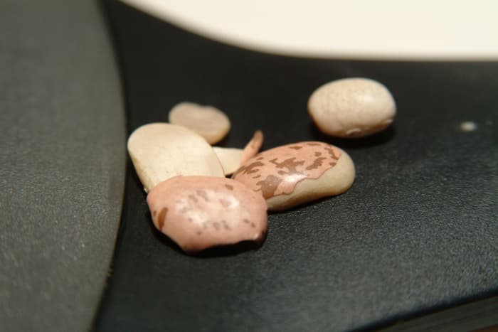 Pinto beans that show signs of long shelf life are split in half, cracked, and broken into bits. Not a quality bean at all!
