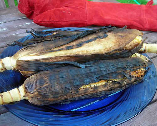 grilled in the shucks